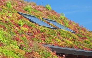 Earlestown living roof systems